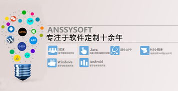 軟件定制開發(fā)報(bào)價(jià)解析 影響因素與合理預(yù)算指南